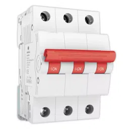 C&S Electric WiNtrip2 4 Pole 63 Amp Isolator, CSMBS4SD63-picture-31