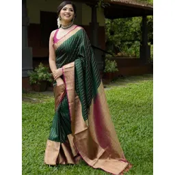 CaniBani Woven Design Zari Silk Blend Banarasi Saree-picture-24