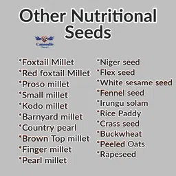Canoodle Premium Bird Food for All Life Stages, Selected Mix Seeds. (Budgies 450gm) image 4