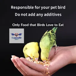 Canoodle Premium Bird Food for All Life Stages, Selected Mix Seeds. (Budgies 450gm) image 5