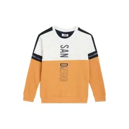 Cantabil Kids Mustard & White Color Block Full Sleeves Sweatshirt-picture-22