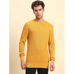 Cantabil Men Pullover-picture-22