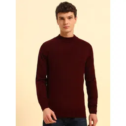 Cantabil Men Turtle Neck Pullover-picture-27