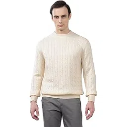 cantabil Self Design Round Neck Full Sleeves Regular Fit Mens Casual Sweater | Casual Sweater for Men | Mens Sweater for Winter Wear (P_MSWT00100)-picture-49