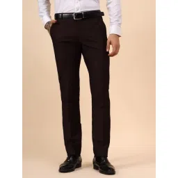 Cantabil Wine Regular Fit Self Design Trousers-picture-27
