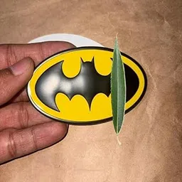 Car Batman Sticker/Emblem for Thar Roxx All 2025 Onwards Models of Ma-hin-dra 3D Metal Badge/Logo for All Cars & Bikes-picture-20