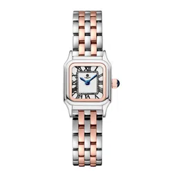 Carlton London Chloe Women Dial & Stainless Steel Straps Analogue Watch CLWWS-02-picture-14