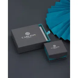 carlton london Women Sterling Silver Gold-Plated CZ Contemporary Drop Earrings image 5