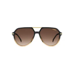 carrera accessories CARRERA Men UV Protected Polarized Full Rim Brown Lens Aviator Sunglasses - 206369YQL58HA (58)-picture-27