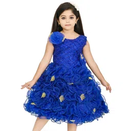 carrydreams Girls Self Design Net Fit & Flare Dress-picture-17
