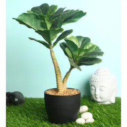 casacraft from pepperfry Green Polyester Artificial Plant With pot-picture-31