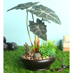 casacraft from pepperfry Green Polyester Artificial Plant With pot-picture-37