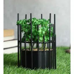 casacraft from pepperfry Hide Green Polyester Hide Metallic Artificial Bonsai With Black Pot-picture-19