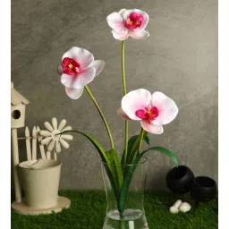 casacraft from pepperfry Pink Polyester Stunning Light Orchid Flower Artificial Flowers-picture-32