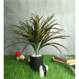 casacraft from pepperfry Red Polyester Artificial Yucca Plant Without Pot-picture-29