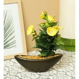 casacraft from pepperfry Yellow Fabric Morning glory Artificial Plant-picture-30