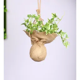 casacraft from pepperfry Yellow Ivy Artificial Creeper Bonsai with Jute Bag-picture-36