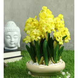 casacraft from pepperfry Yellow Pvc Hyacinth Artificial Bonsai With Off- White Ceramic Pot-picture-28