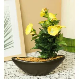 casacraft from pepperfry Yellow Pvc Morning Glory Artificial Bonsai With Brown Ceramic Pot-picture-34