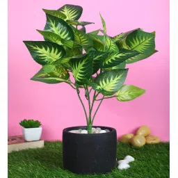 casacraft from pepperfry Polyester Decorative Without Pot Artificial Plant image 1