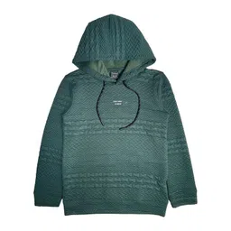 CAVIO Boys Striped Cotton Hooded Sweatshirt-picture-51