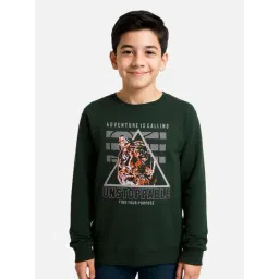 Cavio Kids Green Cotton Printed Full Sleeves Sweatshirt-picture-19