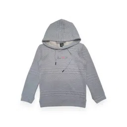 Cavio Kids Grey Solid Full Sleeves Sweatshirt-picture-35