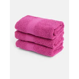 Cayman Pack Of 3 Ultrasoft Cotton 500 GSM Hand Towels-picture-12