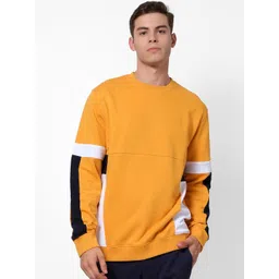 Celio Men Mustard Yellow & White Colourblocked Pullover Sweatshirt-picture-20