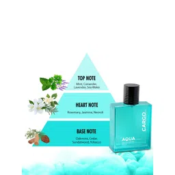 CFS Unisex Cargo Blue Long Lasting Perfume - 100 ml image 5