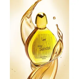 CFS Wild Sandal Eau De Parfum-100ml &  Begin Long Lasting Apparel Perfume-25ml-picture-30