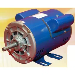 CG Power Single Phase 0.25 HP 4 Pole Foot Mounted Induction Motor GF6779-picture-18