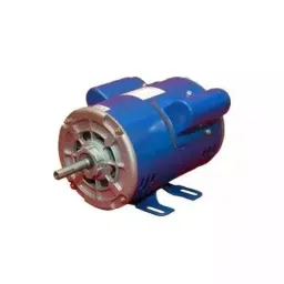 CG Power Single Phase 1 HP 2 Pole Foot Mounted Induction Motor GF6829-picture-39
