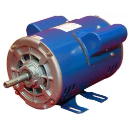 CG Power Single Phase 1 HP 4 Pole Foot Mounted Induction Motor GF6782-picture-13