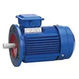 CG Power Single Phase 2 HP 4 Pole Flange Mounted Induction Motor GF6823-picture-45