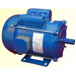CG Power Single Phase 3 HP 4 Pole Foot Mounted Induction Motor GF6567-picture-20