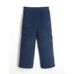 Cherry Crumble By Nitt Hyman Boys Blue Textured Trousers-picture-18
