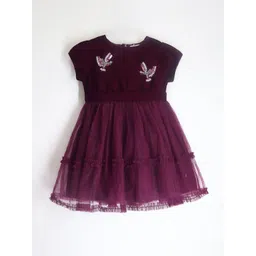 Cherry Crumble Girls Embellished Ruffles Fit & Flare Dress-picture-31