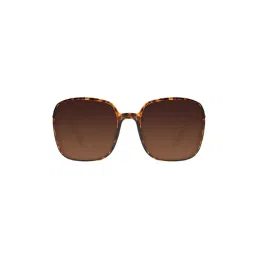 Chilli Beans OCCL32455706 Brown Square Sunglasses-picture-32