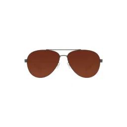 Chilli Beans OCMT31490247 Brown Aviator-picture-34
