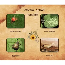 Chipku Ayurvedic Plant Guard 250ml Neem Oil + Karanj Oil Spray Formulation Concentrate | 100% Organic Plant Protector | Powerful Pest Control for Indoor & Outdoor Use For Making 50 Neem Spray Bottles image 3