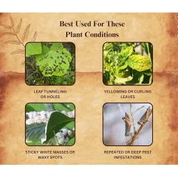 Chipku Ayurvedic Plant Guard 250ml Neem Oil + Karanj Oil Spray Formulation Concentrate | 100% Organic Plant Protector | Powerful Pest Control for Indoor & Outdoor Use For Making 50 Neem Spray Bottles image 4