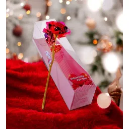 chocozone 24K Artificial Red Rose-picture-20