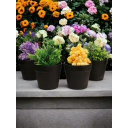 CHOCOZONE 6-Pieces Black Flower Planters-picture-35