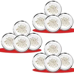 Classic Essentials CE-12 12 Pcs Stainless Steel Permanent Laser Glory Design Dinner Plate Set (Pack of 2)-image-12