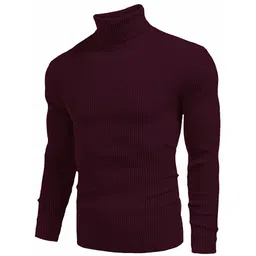 clothster Men Solid High Neck Maroon Sweater-picture-14