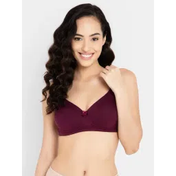 Clovia Purple Full Coverage Padded T-Shirt Bra-picture-43