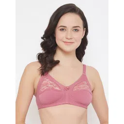Clovia Women Pink Solid Lace Non-Wired Lightly Padded Everyday Bra BR1054A22-picture-26