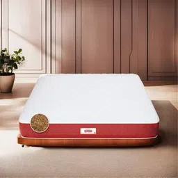 Magic Orthopedic Dual Comfort For Back Pain Relief king Size Mattress-image-20