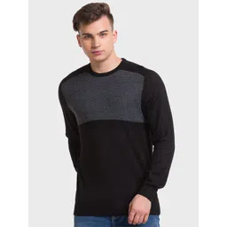 ColorPlus Colourblocked Round Neck Long Sleeves Tailored Fit Pullover Sweater-picture-12